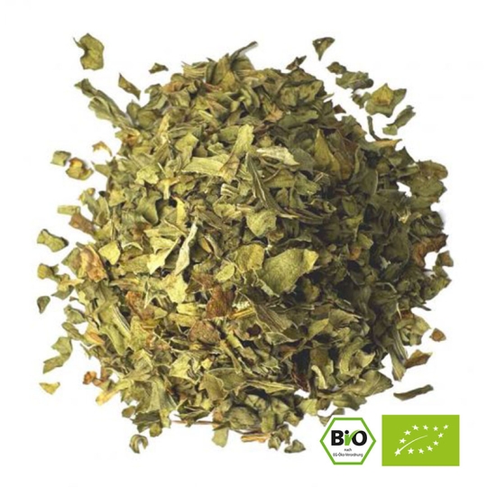 Liebstöckel BIO