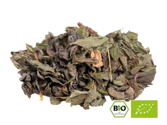 Marrakesh Nights Premium BIO