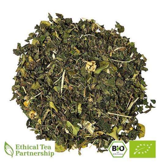 NIGHT GreenTox BIO
