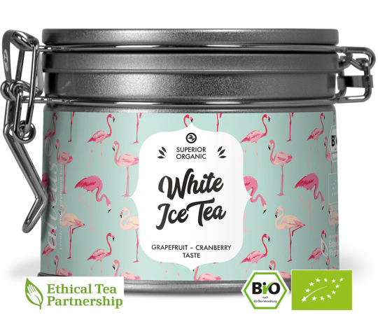 Presentbox Ice Tea ORGANIC Eistee BIO