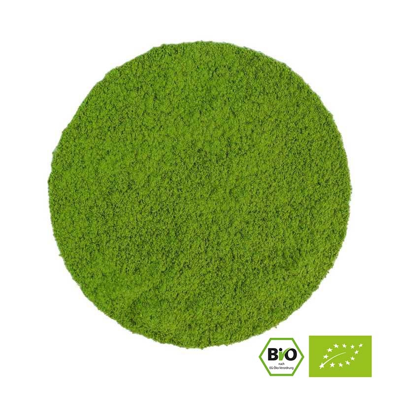 JAPAN MATCHA ONE BIO